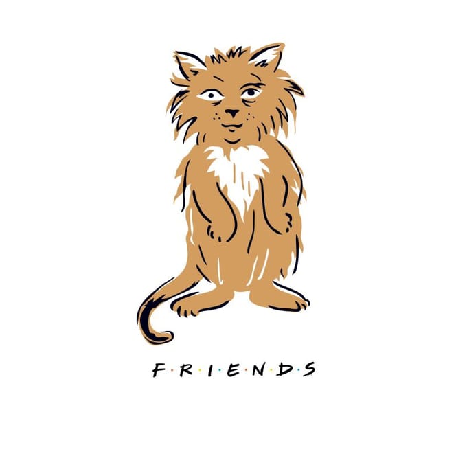 Friends Smelly Cat t-shirt - Wit - XL