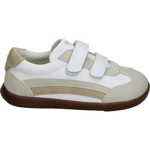 Ballerina's Garvalin 117607