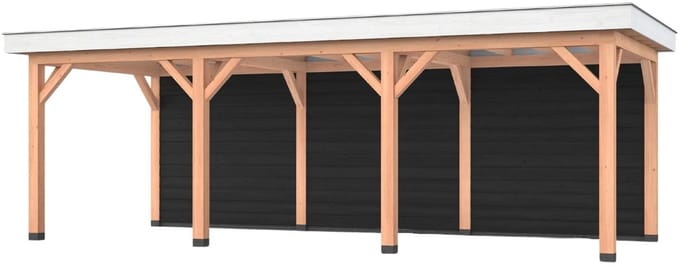 Douglas overkapping, 750 x 300, met achterwand, Westwood Holland Basic