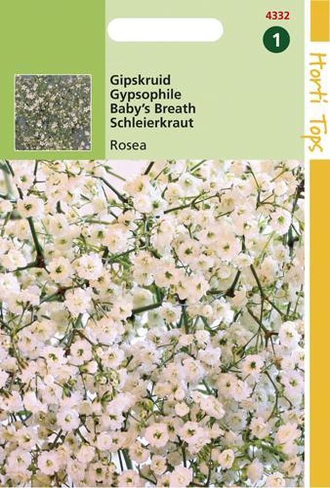 Hortitops Zaden - Gypsophila Elegans Diep Rose