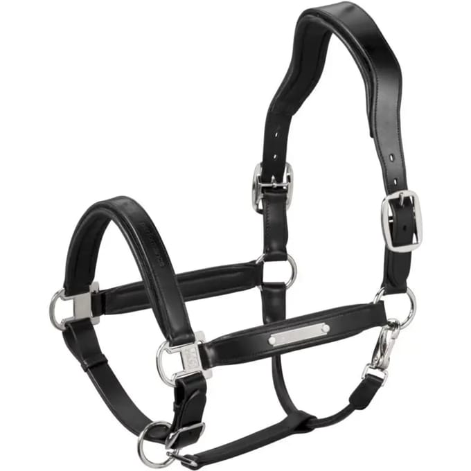 Leren halster voor paard Eskadron Stallion