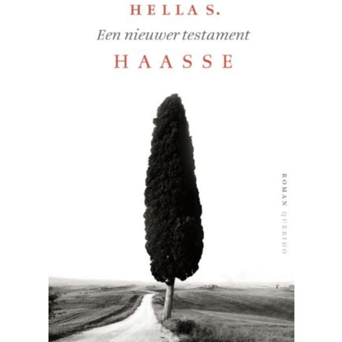 Een Nieuwer Testament - Hella S. Haasse