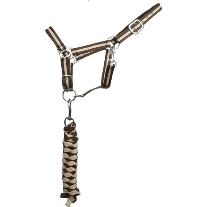 Dubbel halster + leidtouw T de T