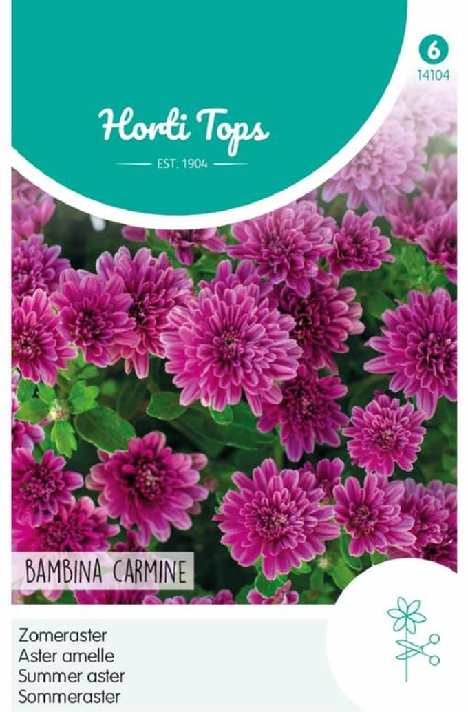 Zomeraster Bambina Carmine (Callistephus chinensis)