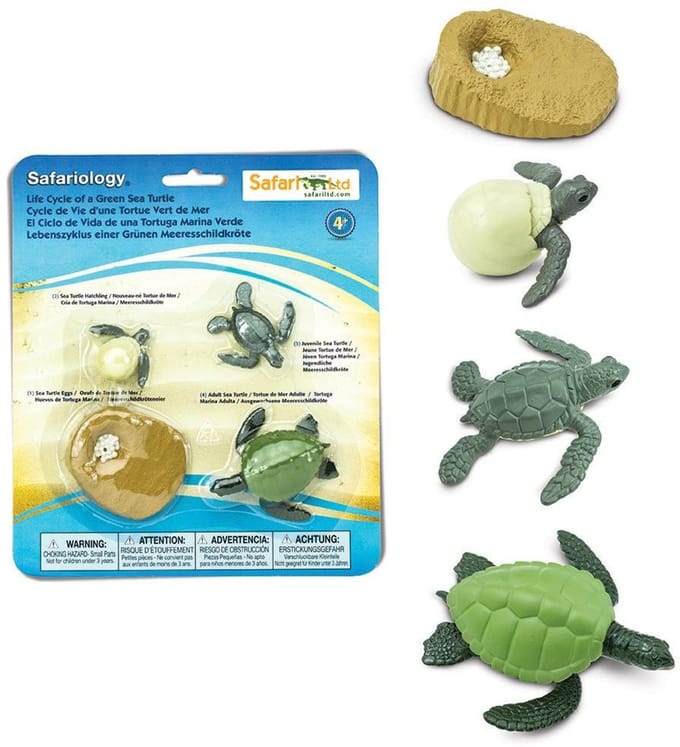 Safari Speelset Levenscyclus Zeeschildpad Junior 4-delig
