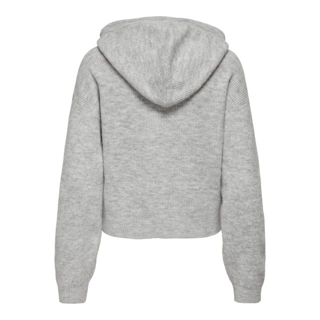 Jacqueline de Yong Lumi life l/s hood pullover