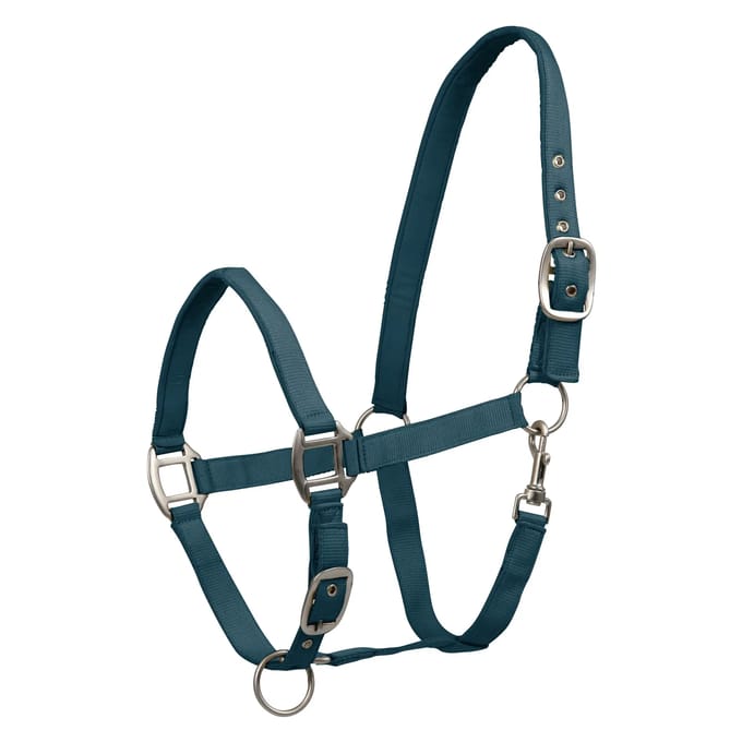 Waldhausen Perlon Halster Satin - Paardenhalster - Petrol Pony