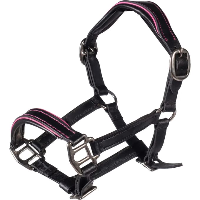 Hobby Horse Lijn van Leer HKM Kids Manchester