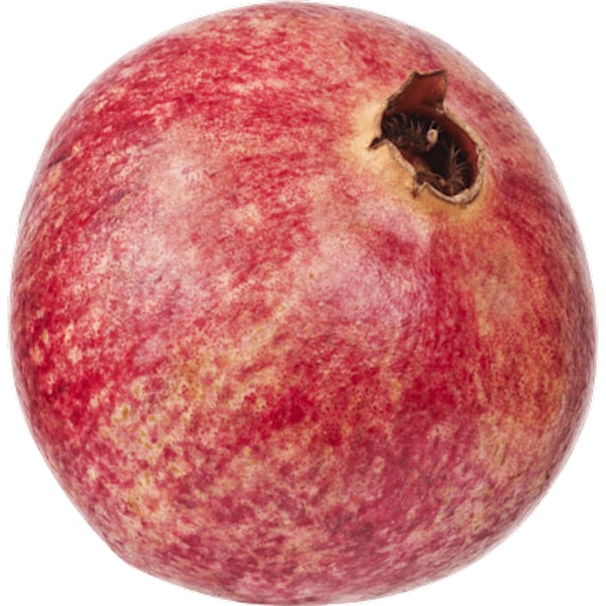 Granaatappel