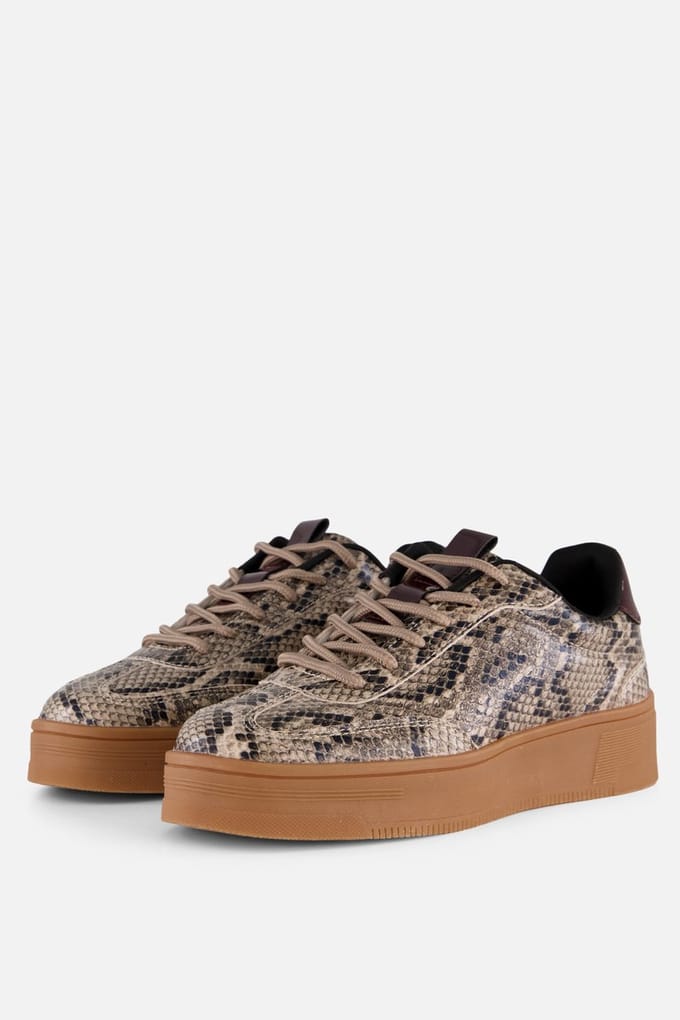Cellini Snake Sneakers beige Synthetisch - Maat 36