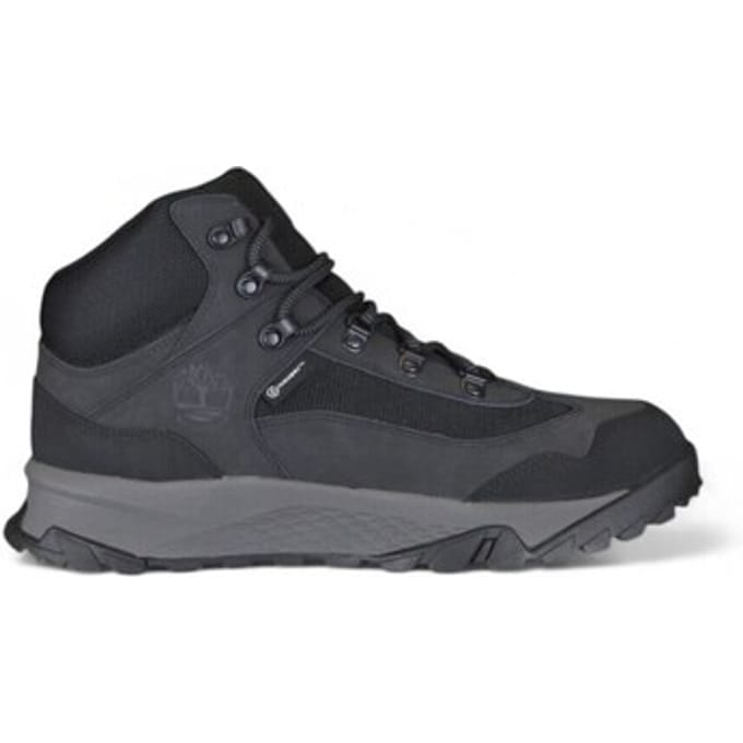 Wandelschoenen Timberland A2HTT