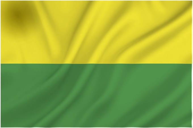 Vlag Den Haag