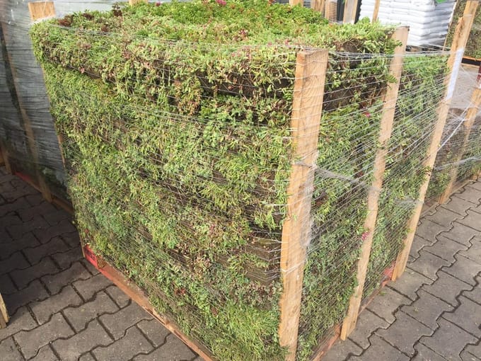 Groen Dak Compleet Kant-en-klaar groendak-pakket  (18m2)