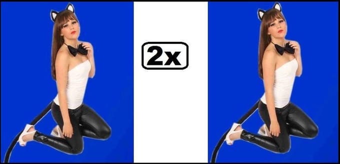 2x Dierenset 3-delig kat