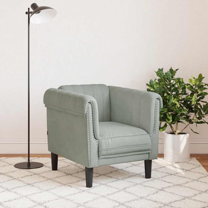 vidaXL Fauteuil fluweel lichtgrijs
