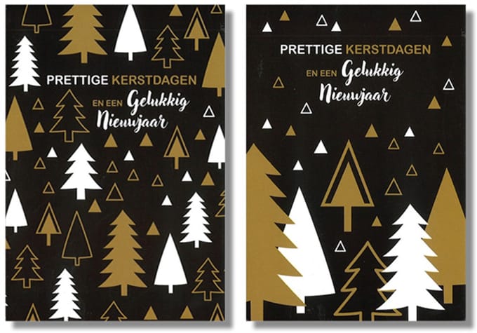 MGPcards - 10 Dubbele wenskaarten - Kerstkaarten / Nieuwjaar - Witte envelop - 10 x 14 cm - 2 Motieven per doosje