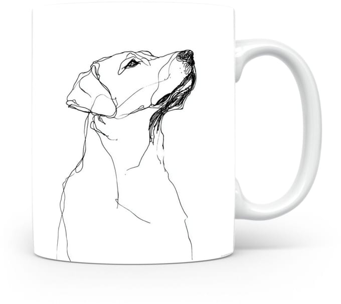 Beker Labrador Retriever