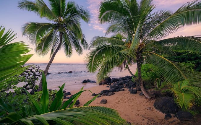 Fotobehang Hawaiian Dreams - Meerkleurig - 2,80m X 450cm