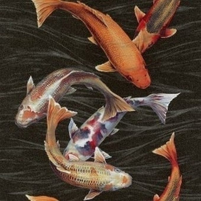 Koi karper behang 781014