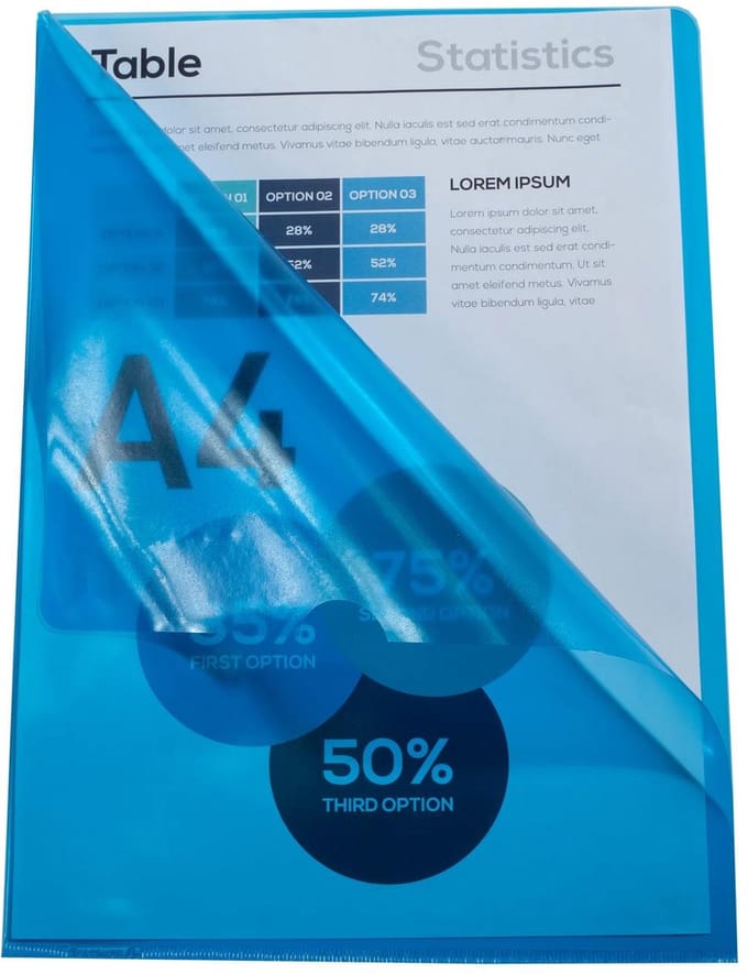 Exacompta 2x Pak van 50 L mappen - gladde PVC 13/100e - A4 - Geassorteerd - 661000E