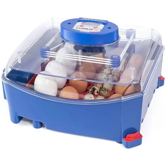 Automatische broedmachine voor 16 eieren Borotto Lumia