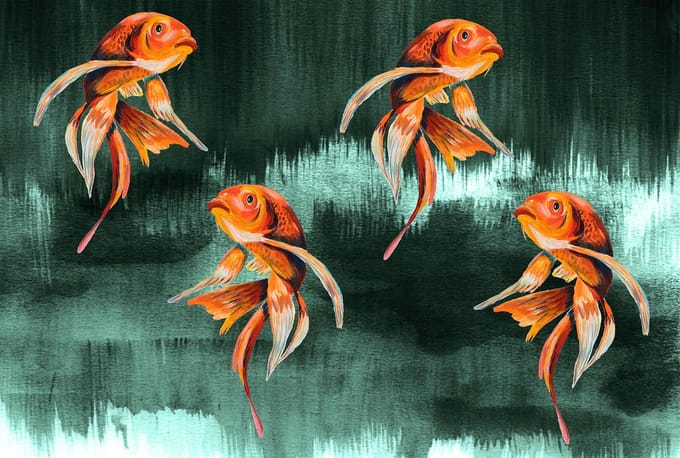 Behang staal Koi Fish Art emerald