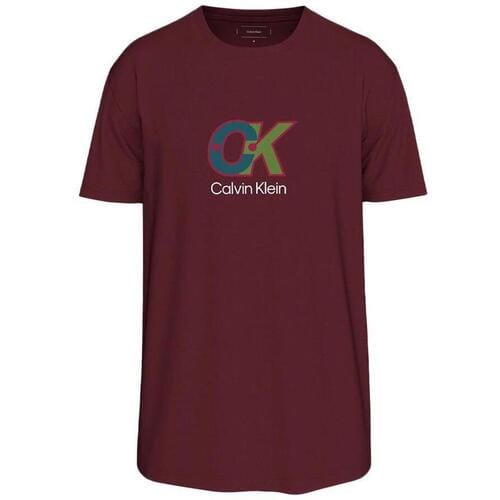 T-shirt Korte Mouw Calvin Klein Jeans LV04RD821G