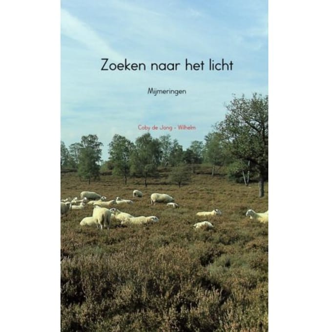 Zoeken Naar Het Licht - Coby De Jong-Wilhelm