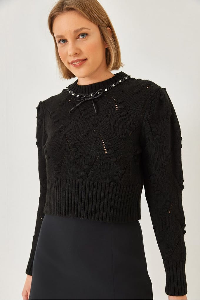 Geweven Geborduurd Crew Neck Fitted Crop Sweater
