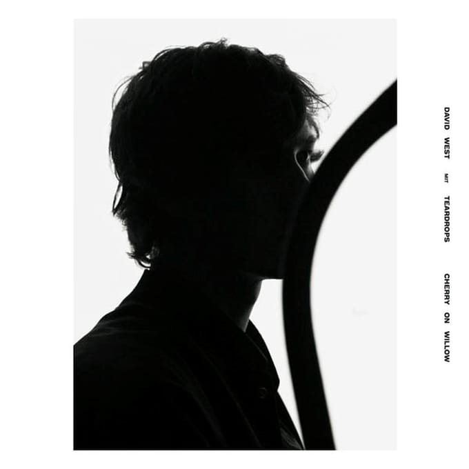 David West & Teardrops - Cherry On Willow (LP) (Coloured Vinyl) (Limited Edition)