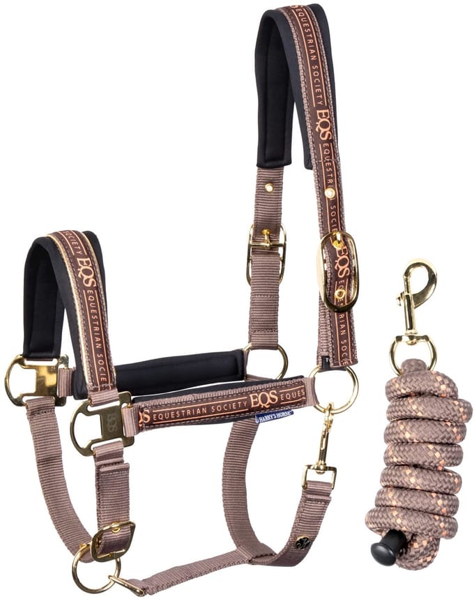 Harry's Horse - Halsterset Equestrian Society - Coffee Quartz - Maat Cob