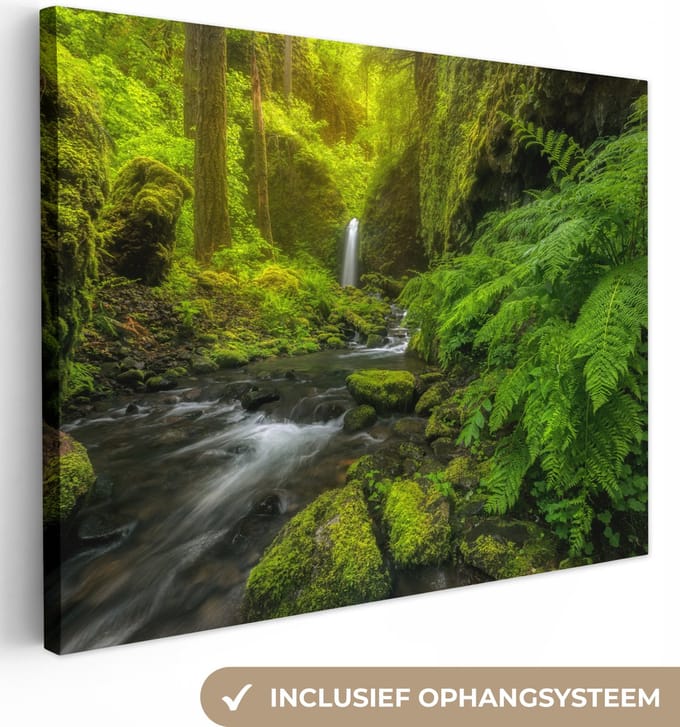 Canvas Schilderij Prachtig plaatje jungle - 80x60 cm - Wanddecoratie