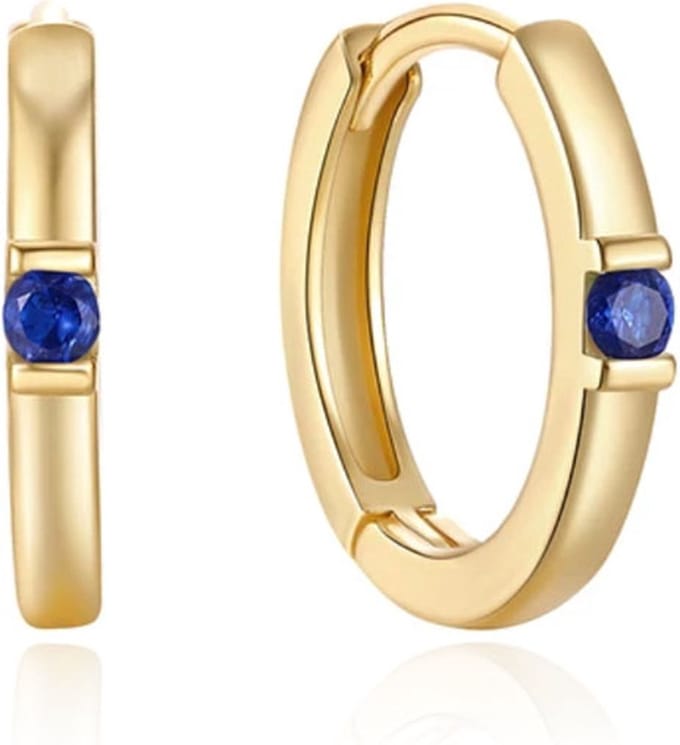 Elenza Goudkleurige Oorbellen met Blauwe Kristal