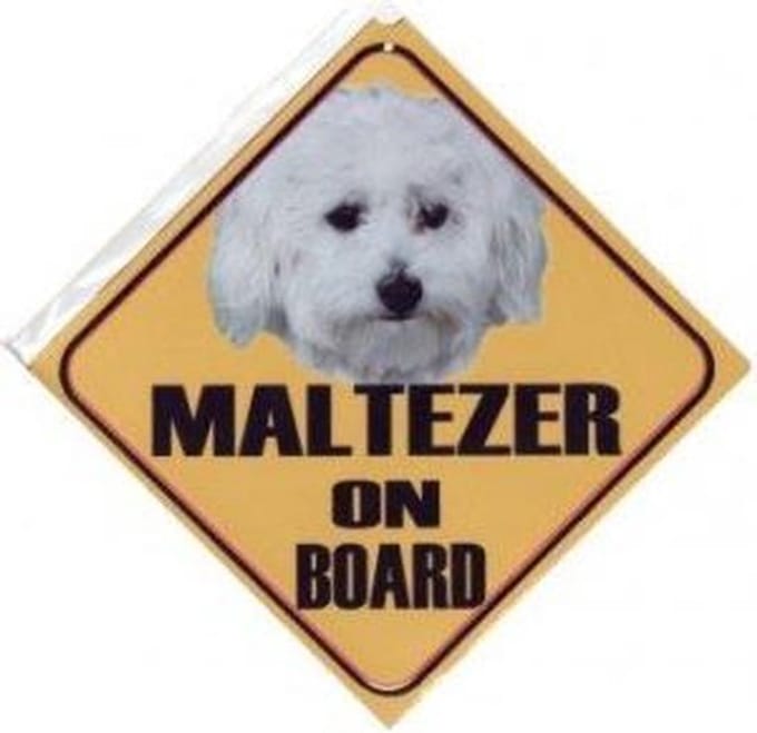 Autobordje Maltezer