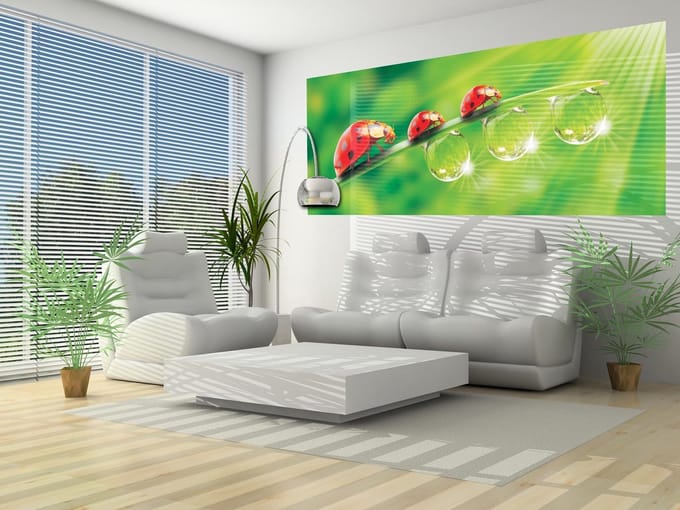Ladybird Photo Wallcovering