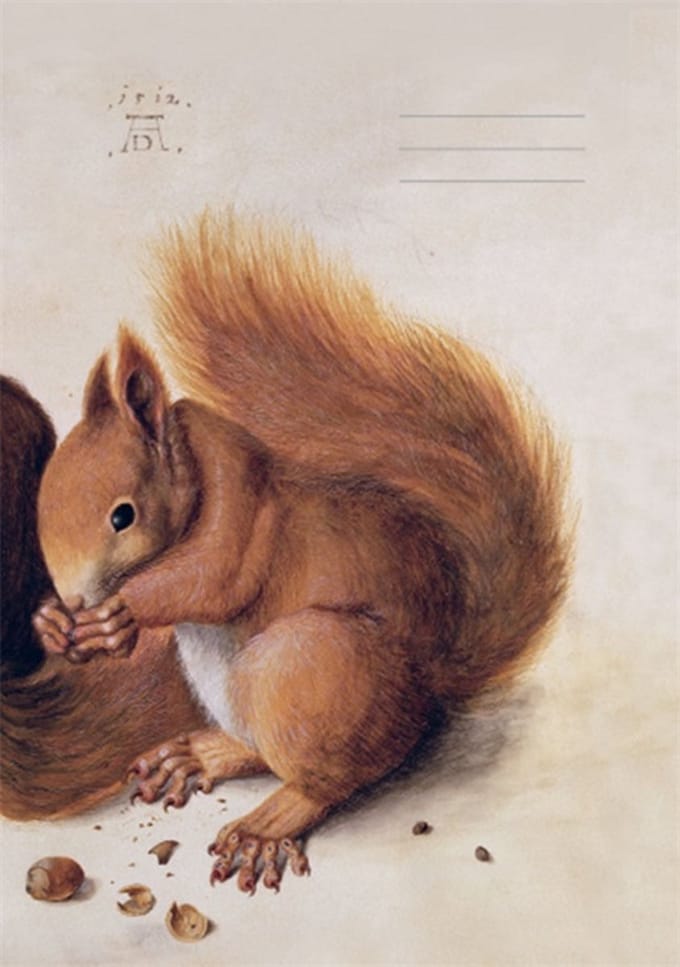 Notitieboekje Eekhoorn 14x11cm