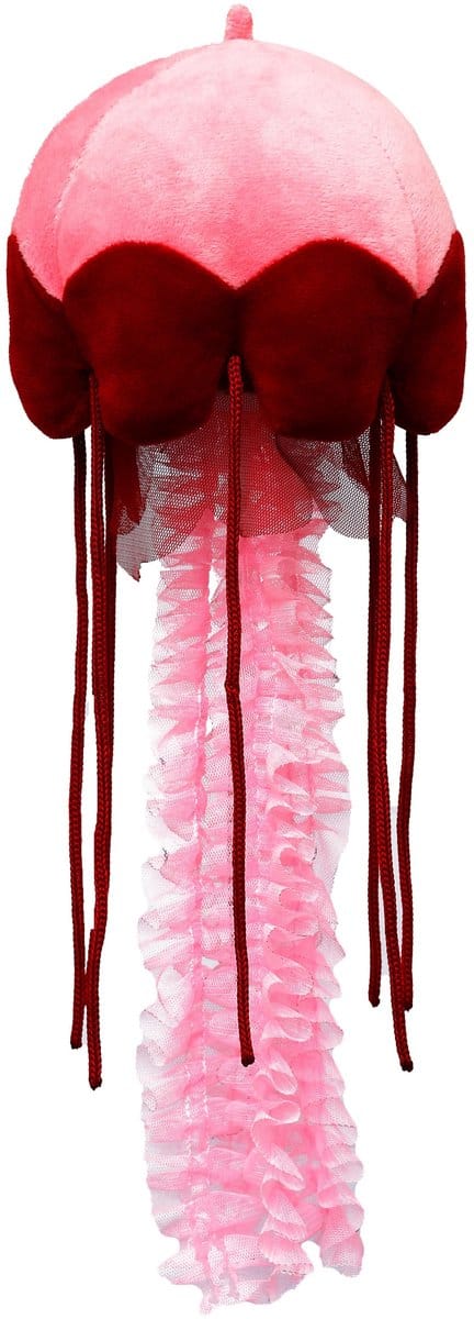 Wild Planet Kwal Knuffel - 50 cm - roze - oceaan knuffeldier