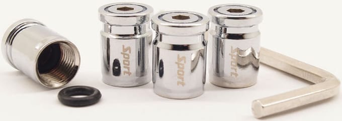 Schrader (auto) ventiel - Zilver anti-diefstal zinklegering met afdichting