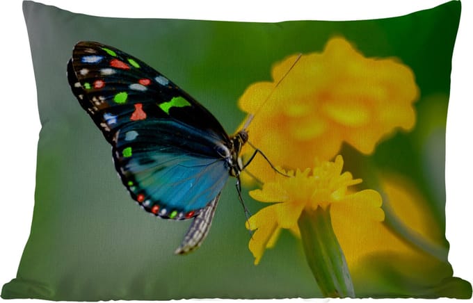 Buitenkussens - Tuin - Vlinder - Bloem - Dier - Insect - 50x30 cm