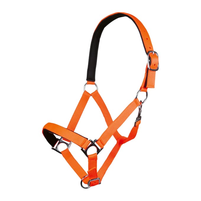 Halster voor paarden HKM Stars Softice