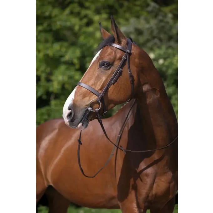 Hoofdstellen Riding World Muserolle Française