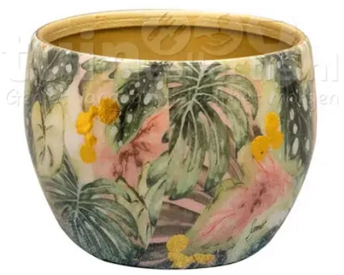Pot Monstera mystery D9 H7 Ter Steege