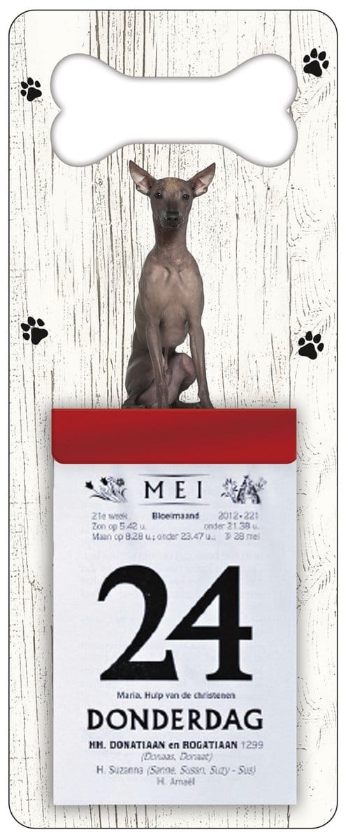 Scheurkalender 2027 Hond: Peruaanse Naakthond