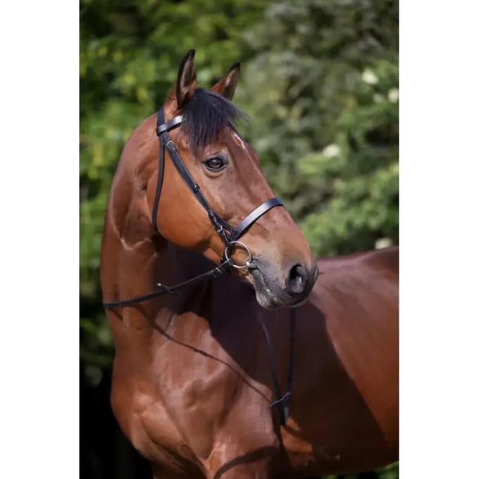 Hoofdstellen Riding World Muserolle Française