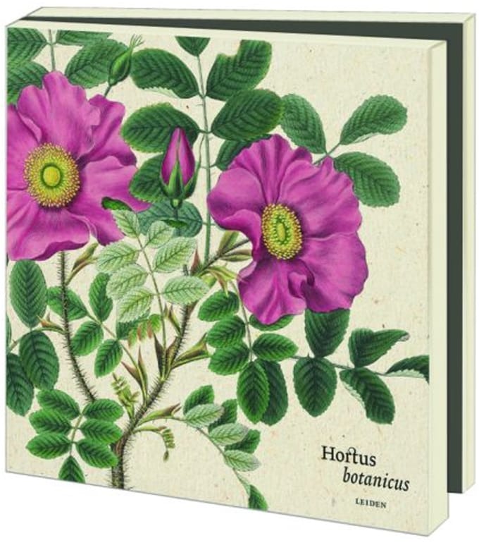 Kaartenmapje met env, vierkant: Flora Japonica, Hortus Leiden