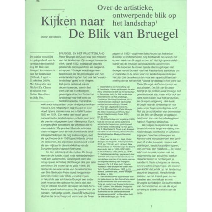 Kijken Naar De Blik Van Bruegel - Stefan Devoldere