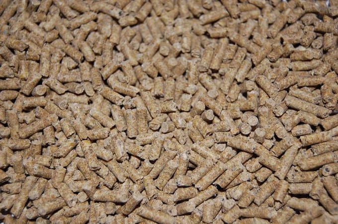 Van Gorp Pluimveekorrel 20 kg