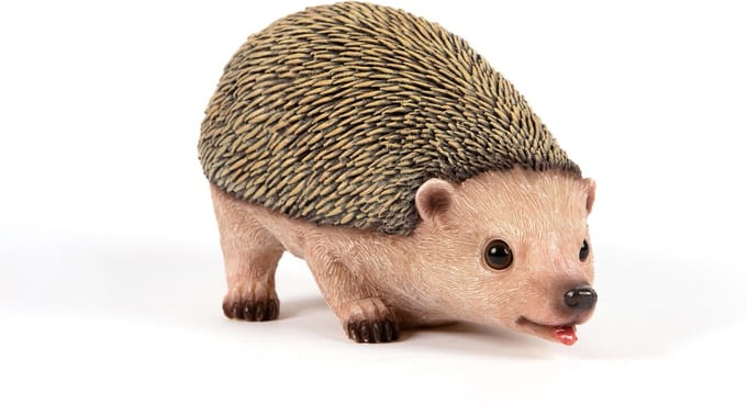 drinkende  Egel