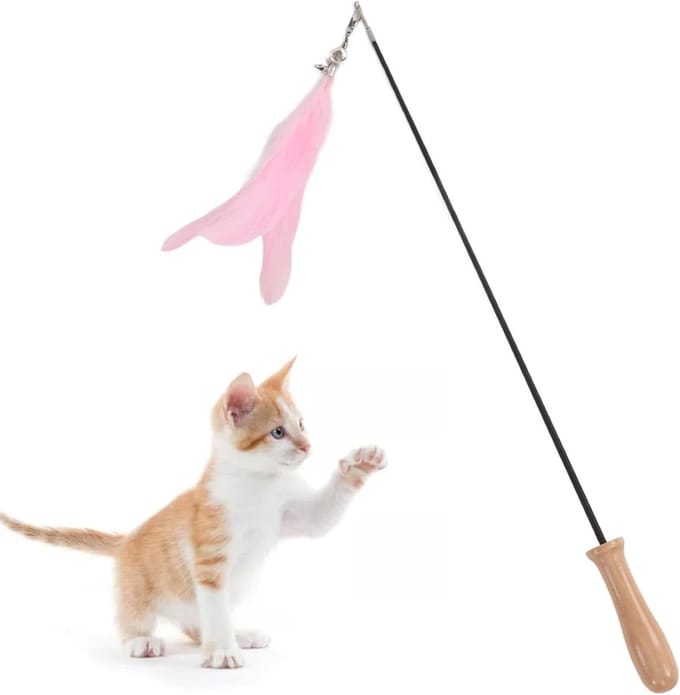 Kattenstok Speelgoed - Interactieve Hengel - Spelen met Katten - Intrekbaar Koolstofvezel - 48 cm - Niet gespecificeerd