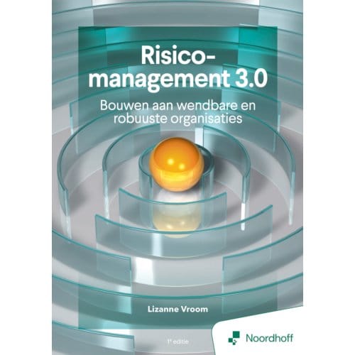 Dynamisch Risicomanagement - 1e Editie - P. Claes
